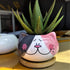 Cute 3.5 Inches Indoor Cartoon Animal Cat Shaped Ceramic Succulent Cactus Flower Plant Pots with Bamboo Tray (Plant Not Included) (Grey)...