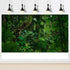 Tropical Rainforest Aquarium Background Psychedelic Forest Terrarium Background Old Trees Woodland Reptile Habitat Background Green Leaves Aquariu...