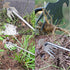 Weeding Tools,Portable Garden Weeder Tool,2024 New Manganese Steel Weed Puller,for Hand Weeder for Vegetable Gardening Backyard Farm Planting & Up...