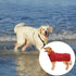 Geyecete Dog Bathrobe Towel Dog Drying Coat-Dry Fast Dog Bag-Pineapple grid Fast Drying Super Absorbent Pet Dog Cat Bath Robe Towel-Red-M...