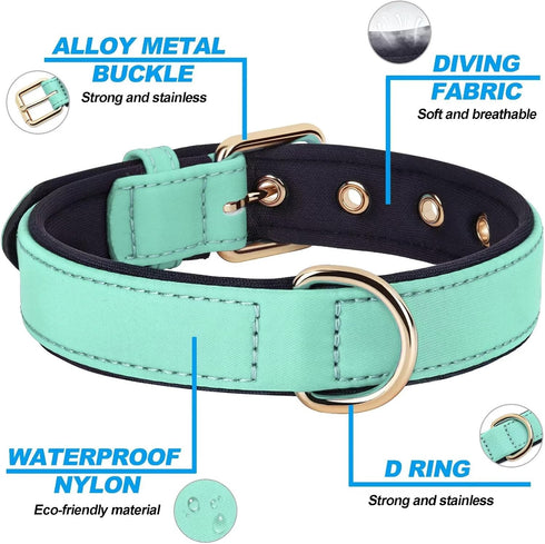 Didog Waterproof Dog Collar with Soft Padded, Strong Dog Collars with Metal Buckle, Lightweight and Breathable Dog Collars for Medium Dogs, Green,...