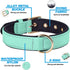 Didog Waterproof Dog Collar with Soft Padded, Strong Dog Collars with Metal Buckle, Lightweight and Breathable Dog Collars for Medium Dogs, Green,...