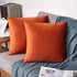 FEVERQIYI 20x20 Velvet Pillow Covers Set of 2 Burnt Orange Decorative Square Throw Pillowcase Soft Solid Cushion Covers for Bedroom Living Room Ou...