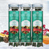 Scentsicles O Christmas Tree Scented Christmas Ornaments with Hooks - 3 Bottles (18 Sticks Total)...