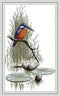 Rosyfoxes Cross Stitch Kits Stamped Full Range of Embroidery Starter Kits for Beginners DIY 11CT 3 Strands - Birds by The River 34×55cm...