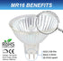 Simba Lighting Halogen MR16 20W 12V Light Bulbs (10 Pack) for Landscape, Track Lights, Fiber Optics, Desk Lamps, BAB C Spotlights with Glass Cover...