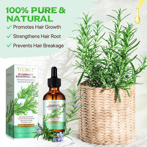 Rosemary Oil, 2.02 Fl Oz Pure Rosemary Essential Oil with with Glass Dropper - Undiluted Rosemary Massage Oil for Hair Growth Skin Care and Nails ...