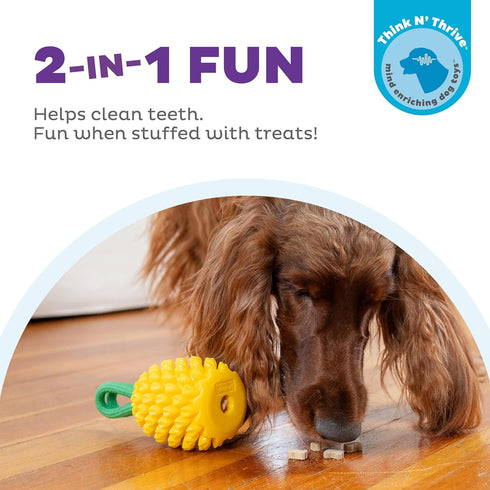 Outward Hound Dental Pineapple Dental Chew Toy and Interactive Treat Stuffer Durable Dog Toy Stuffable Dog Toy, Yellow...