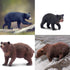 Toymany 6PCS Bear Figurines, Realistic Forest Animals Bear Family Figures Toy Set includes Brown Bears Black Bears and Cubs, Education Toy Birthda...