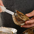 Oyster Shucking Knife, 2.75" New Haven Style Oyster Shucker Clam Knife with Non-Slip Poly Handle, Seafood Opener Seafood Tools (Black)...