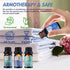 Essential Oils for Laundry - 100% Pure Essential Oils for Diffusers for Home,6x10ml(Clean)- Aromatherapy Oils for Humidifiers,Wool Dryer Balls,Cle...