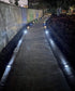 Solar Driveway Deck Light IP68 Waterproof Outdoor Reflectors Driveway Blue LED Light for Dock Walkway Lane Porch Patio Pathway Garden Yard Road Ma...