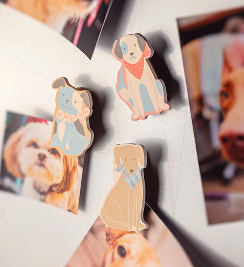 Karma Gifts Shaped Magnetic Chip Clips, Fruit...