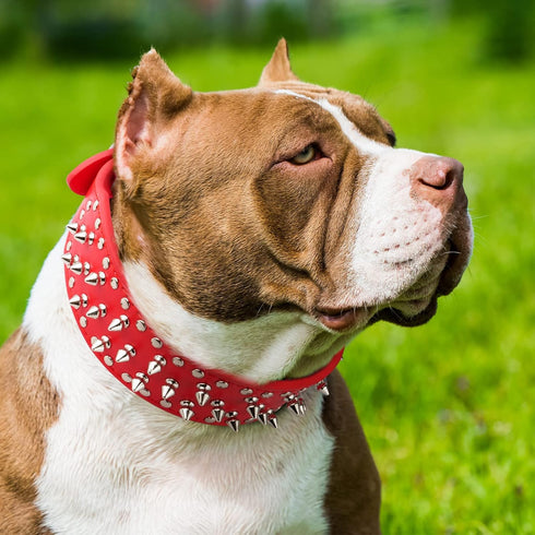 Epesiri Adjustable Wide Spiked Dog Collar, Mushroom Rivet PU Leather Cat Dog Collars, Durable Spike Studded Pet Collar for Small Medium Large Bree...