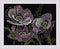 Riolis Cross Stitch, Lace Poppies (14 Count)...