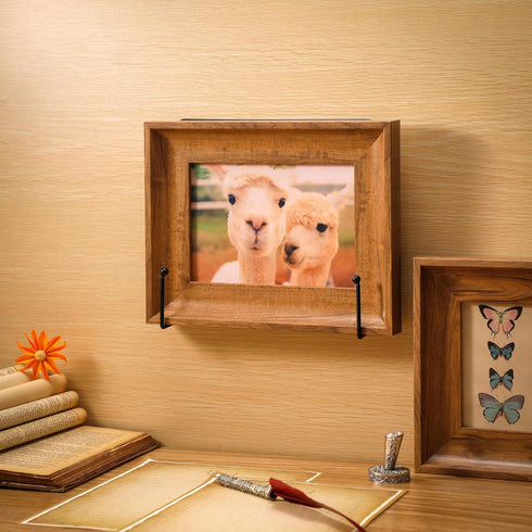 2 Pcs Large Wall Mounted Plate Stands for Display 7.87 x 7.87 Inches Decorative Picture Plate Holder Metal Display Stand Versatile Plate Hanger St...