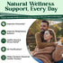 Center of Paradise Immune Restart Organic Essential Oil Blend for Immune Support* (10 ml) - USDA Certified & Non-GMO Blend of Eucalyptus, Peppermi...