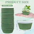 Whaline 300Pcs Green Cupcake Liners Olive Dark Green Baking Cups Wedding Baby Shower Cupcake Wrappers Holders Muffin Liners for Bridal Shower Birt...