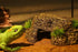 AQUA KT Reptile Cave Hide Natural Hiding Place for Terrarium Amphibian Lizard Snake Bearded Dragon Frog Leopard Terrestrial Gecko Cave...