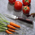 PAUDIN Paring Knife, 3.5 Inch Fruit Knife, High Carbon 5Cr15Mov Stainless Steel Forged Paring Knife, Ultra Sharp Small Kitchen Knife, Ergonomic Wo...