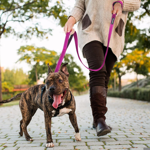 PetiFine 5FT Heavy Duty Dog Leash with Soft Padded Double Handle, Durable Strong Clasp Dog Leashes, Reflective Nylon Walking Lead for Large,Medium...