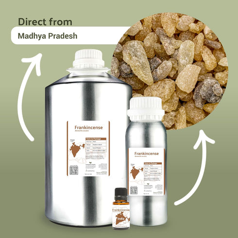 Frankincense Essential Oil - Direct from Madhya Pradesh, India - Pure Essential Oil for Diffusers and Aromatherapy | 100% Pure Therapeutic Grade (...