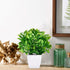MARTINE MALL 10.3 Inches Faux Eucalyptus Plants Potted Artificial Plants in Pot Faux Plants Indoor Fake Potted Plants Fake Green Plant Bonsai with...