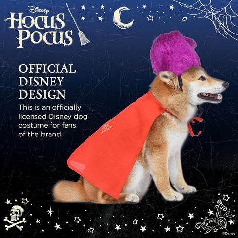 Hocus Pocus Mary Sanderson Dog Costume, Large | Halloween Costumes for Dogs, Dog Witch Costume, Official Dog Product of Disney for Pets...