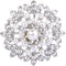 EVER FAITH Women's Wedding Corsage Clear Crystal Simulated Pearl Elegant Flower Leaf Brooch for Women, Bride...