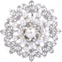EVER FAITH Women's Wedding Corsage Clear Crystal Simulated Pearl Elegant Flower Leaf Brooch for Women, Bride...