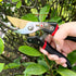 Pruning Shears for Gardening, Garden Shears Heavy Duty, Professional Bypass Pruner Hand Shears, Tree Trimmers Secateurs, Garden Clippers for Plant...