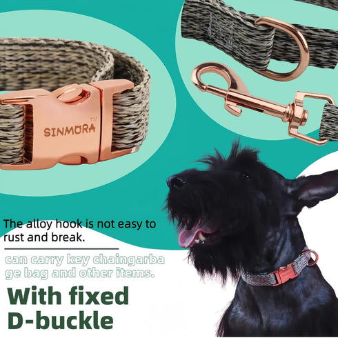 Adjustable Breathable Dog Collar and Leash Set for Puppies, Small, and Medium-Sized Dogs - Lightweight, Durable, and Comfortable - Ideal for Summe...