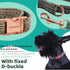 Adjustable Breathable Dog Collar and Leash Set for Puppies, Small, and Medium-Sized Dogs - Lightweight, Durable, and Comfortable - Ideal for Summe...