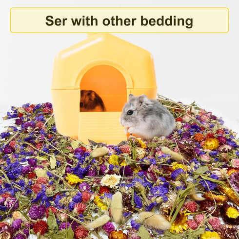 200G Hamster Bedding?Natural Flowers & Herbs Odor Control Dwarf Hamster Bedding Gerbil Bedding Robo Hamster Bedding Katy Hamster Bedding Hamster H...