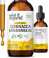 Echinacea Goldenseal Tincture - Immune Support Supplement w/Goldenseal Root and Organic Echinacea - Alcohol-Free Echinacea Goldenseal Liquid for I...