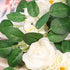Meiliy 60pcs Bulk Rose Leaves Artificial Greenery Fake Rose Flower Leaves for DIY Wedding Bouquets Centerpieces Party Decorations Rose Vine Wreath...