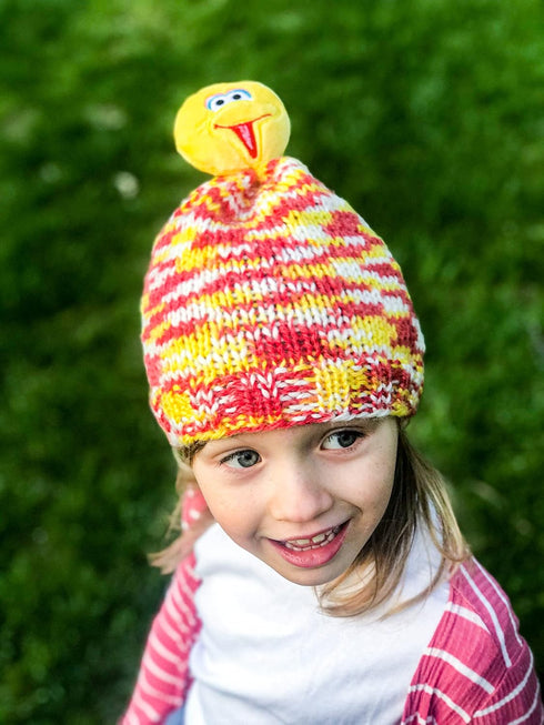 Lion Brand Yarn Sesame Street One Hat Wonder yarn, Size, Big Bird......