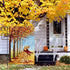 Louise Maelys Fall Welcome Garden Flag 12x18 Double Sided, Small Burlap Autumn Golden Retriever Dog Garden Flag Maple Leaves Fall Thanksgiving Out...