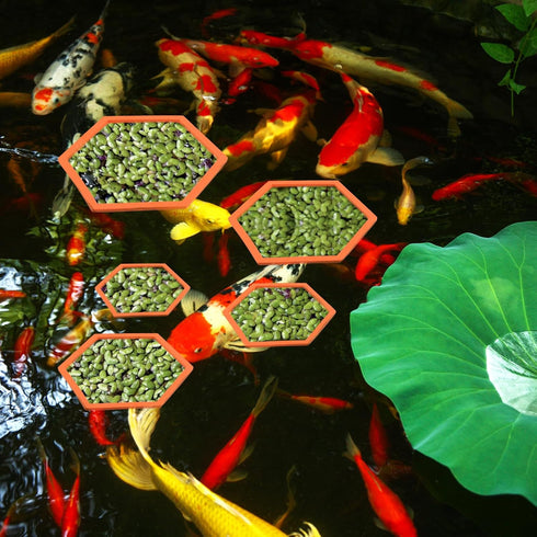5pcs Aquarium Floating Plant Rings, Foam Floating Plant Corral Holder Hexagon Fish Feeding Rings Feeding Ring Barrier for Fish Tank Feeder Plant F...