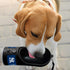 MLB Dog Water Bottle - New York Yankees Baseball Pet Water Bottle. Best Cat Water Bottle. Water Fountain Dispenser for Dogs & Cats, 13.5oz Cool Pe...