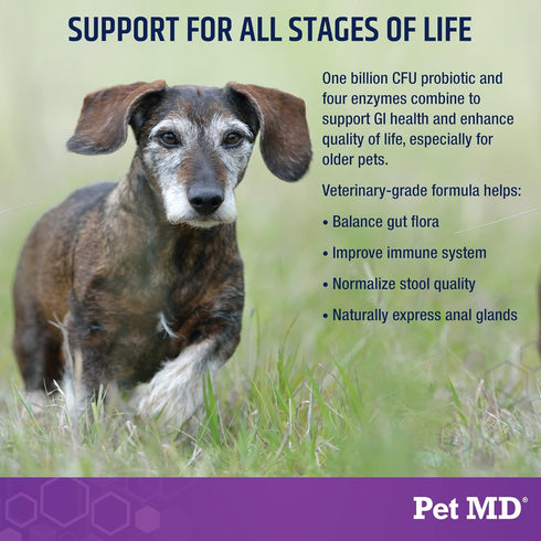 Pet MD Probiotics & Enzymes for Dogs - Gut Health Chews with Prebiotics - Digestive Aid for Dogs with Upset Stomach, Diarrhea, Constipation, or Ga...