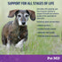 Pet MD Probiotics & Enzymes for Dogs - Gut Health Chews with Prebiotics - Digestive Aid for Dogs with Upset Stomach, Diarrhea, Constipation, or Ga...
