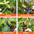 Bypass Pruning Shears for Garden - Effortless Pruning Shears for Grapevines, Bonsai Gardens - Trim Tree Branches and Flowers with Ease, with SK5 S...