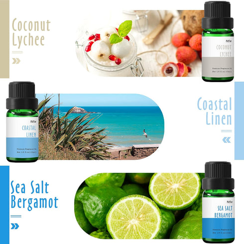 Beach Fragrance Oil, MitFlor Premium Scented Oils for Diffuser, Soap & Candle Making Scents, Summer Aromatherapy Essential Oils Set, Coastal Linen...