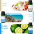 Beach Fragrance Oil, MitFlor Premium Scented Oils for Diffuser, Soap & Candle Making Scents, Summer Aromatherapy Essential Oils Set, Coastal Linen...