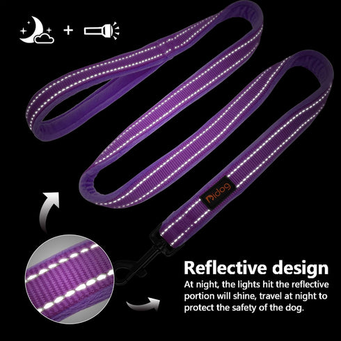 Didog Dog Walking Leashes 4 FT Long with Soft Warm Flannel Padded Handle,Reflective Dog Leash Night Safety Fit Small Medium Dogs...