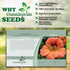 Outsidepride Tropaeolum Nasturtium Vesuvius Climbing, Vining, Flowering, Plants for Trellis, Fences, Arbors & More - 200 Seeds...