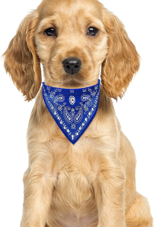 Crystal Studded Blue Bandana Pet Accessory - Hypoallergenic Polyester for Male and Female Dogs - Small Size Fits Chihuahua, Yorkie, Mini Breeds - ...