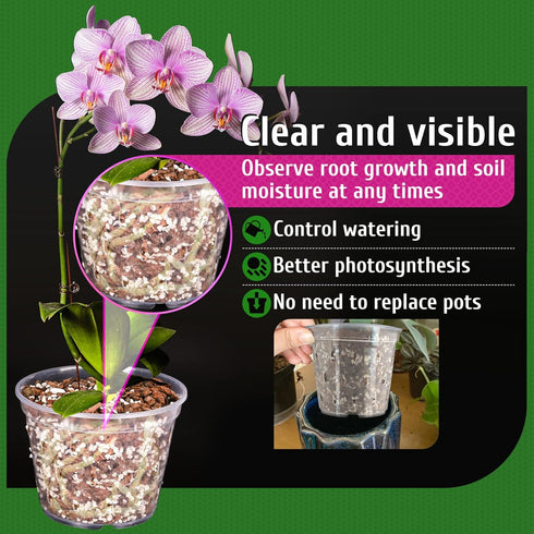 REMIAWY Orchid Pot, 8 Pack Orchid Pots with Holes and Saucers, 5.5 Inch Clear Orchid Pots for Repotting, Plastic Flower Plant Pot Indoor Outdoor, ...