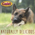 Cadet Premium Grade Beef Hide for Dogs, Long Lasting Rawhide Donut Bone, Single Ingredient Dog Chews, 8 Inch (1 Count)...